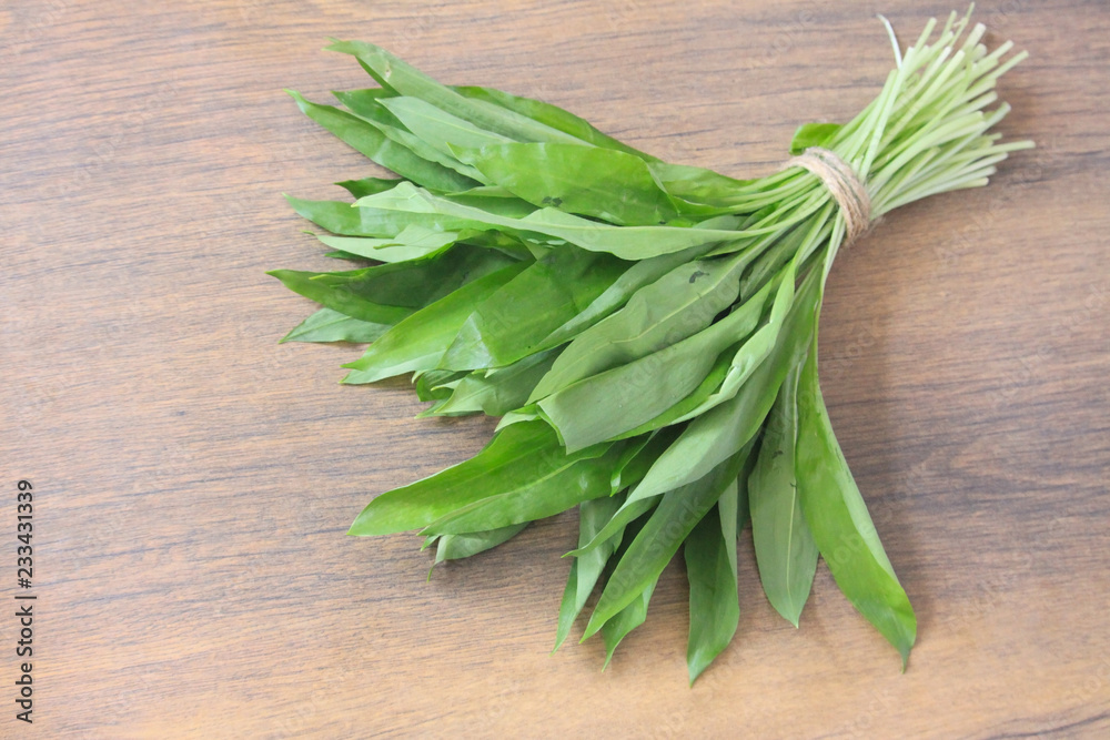 Allium are known as wild garlic. Allium are known as wild garlic.