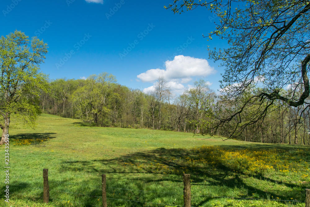 Colorful Rural Hillside - Spring in the Blue Ridge Mountains
