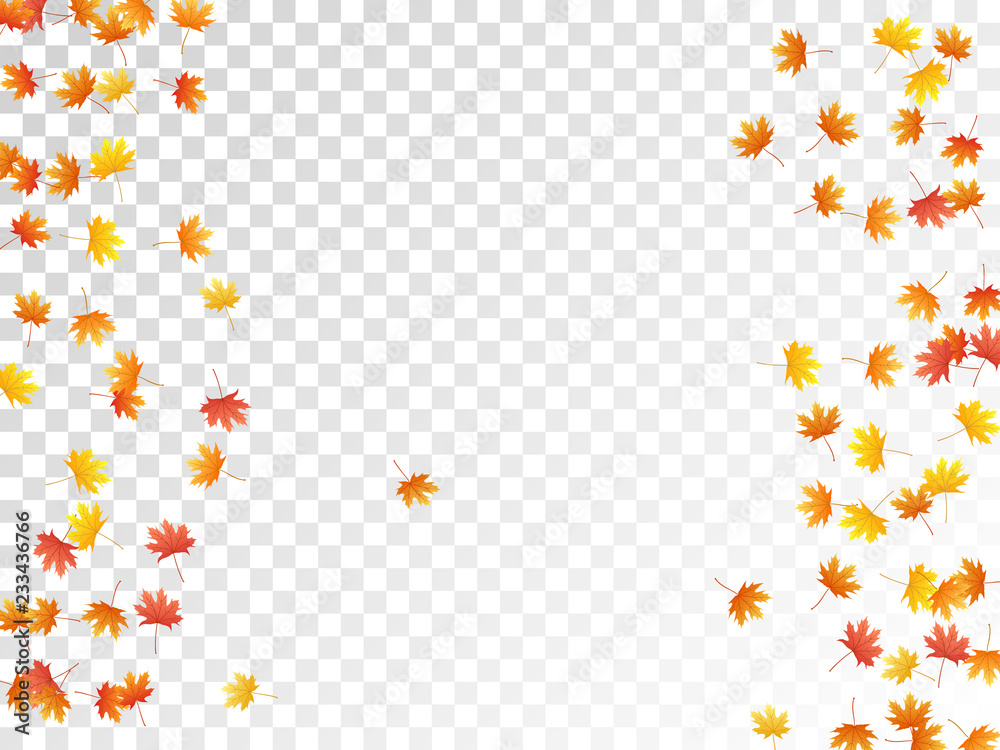 Maple leaves vector, autumn foliage Maple leaves vector, autumn foliage