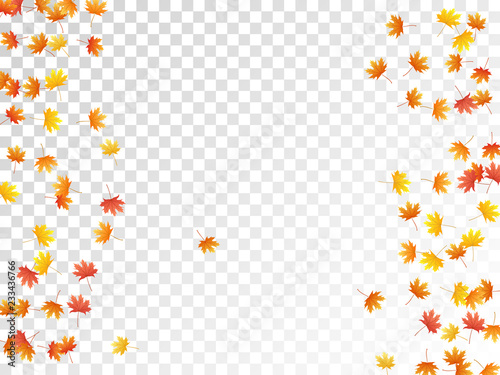 Maple leaves vector, autumn foliage