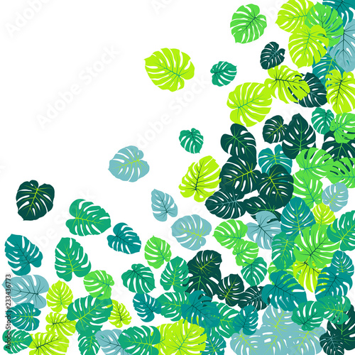 Green tropical jungle leaves vector scatter. 