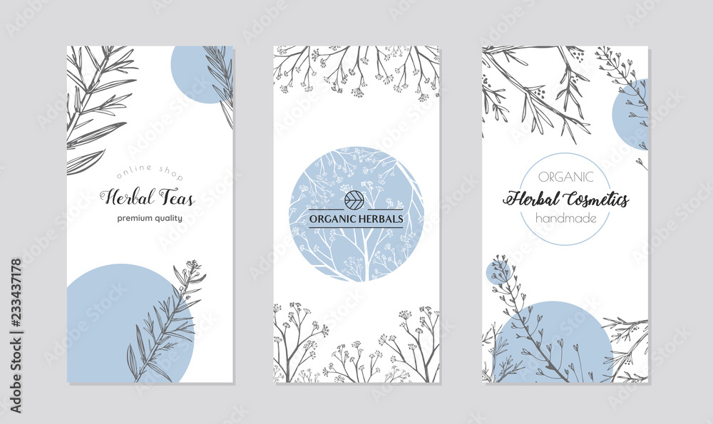 Leaflets with healing herb plants vector. Set of cards or box covers for cosmetics and skincare products. - obrazy, fototapety, plakaty 
