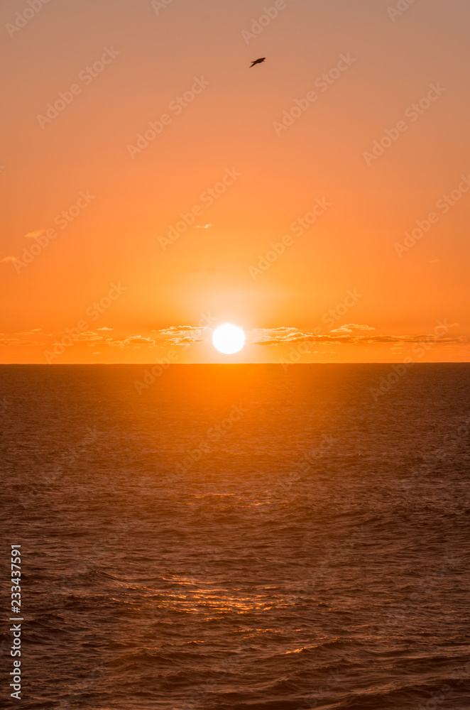 Fototapeta premium sunset. ocean landscape
