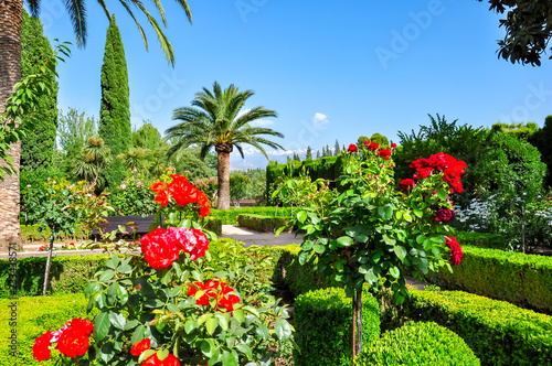 Alhambra gardens in Granada, Spain