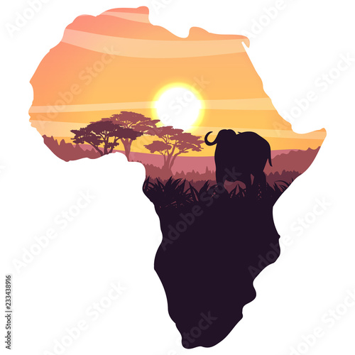 African black buffalo in the savannah. Grass and acacia trees. Realistic vector landscape landscapes in the form of a map of the continent of Africa. The nature of Africa. Silhouette