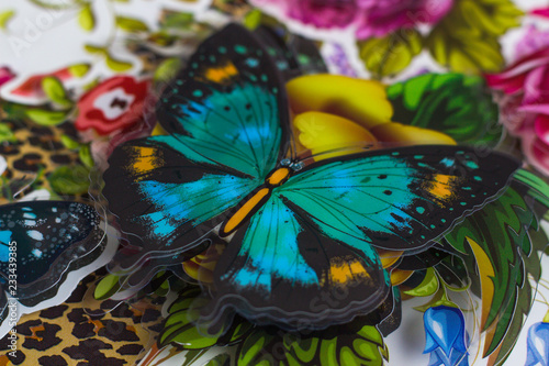 colorful butterflies on a black background © CarlosAlberto