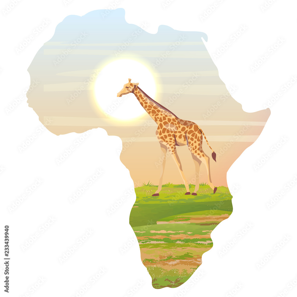 Giraffes In Africa Map