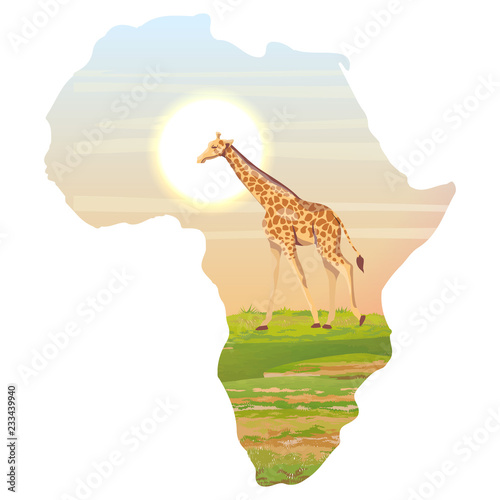 Giraffe in the African savannah. Realistic vector landscapes in the form of a map of the continent of Africa. The nature of Africa. Reserves and national parks.