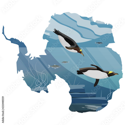 Realistic Antarctic underwater landscape. Two penguins floating in the sea water. Vector illustration in the form of a map of continent of Antarctica.