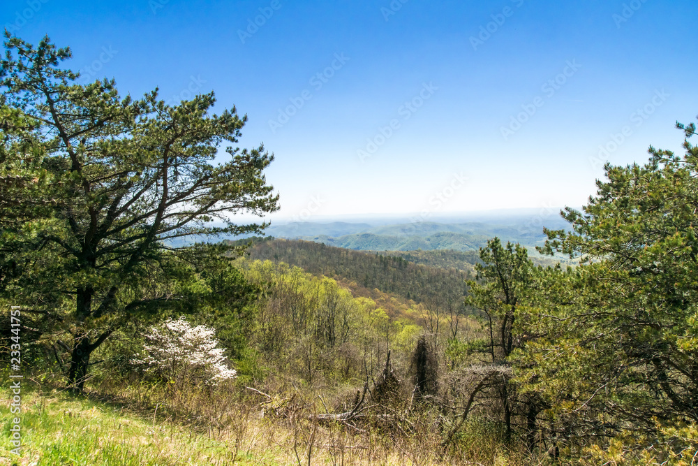 spring on a blue ridge hillside