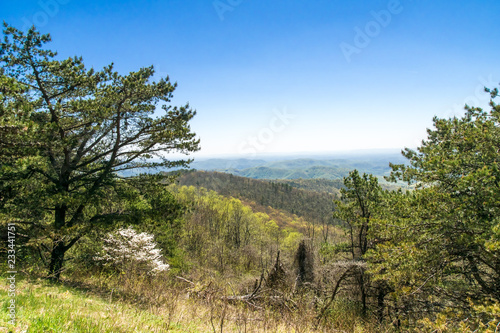 spring on a blue ridge hillside photo