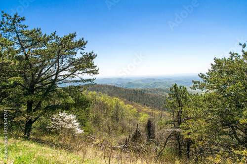 spring on a blue ridge hillside