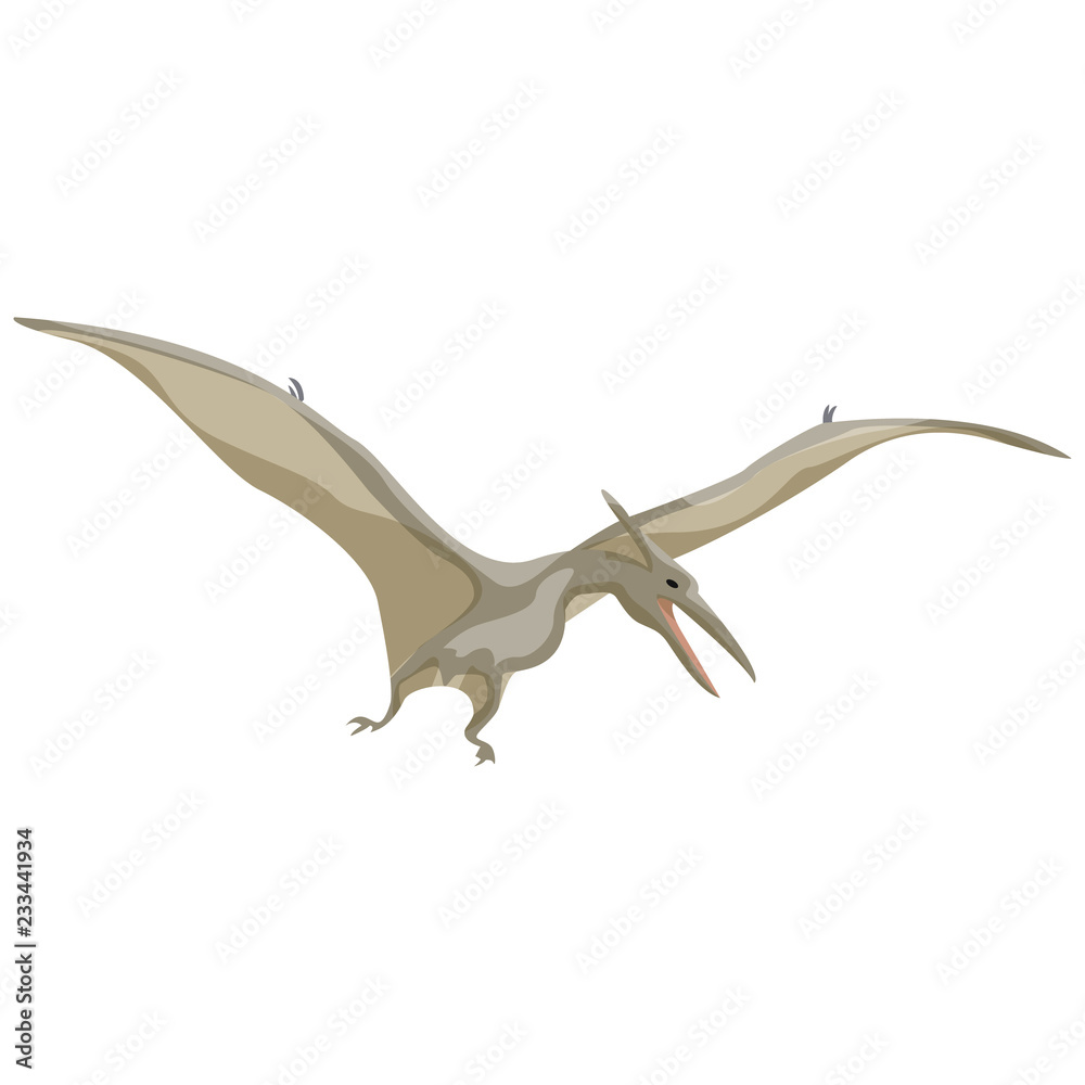 Fototapeta premium Pteranodon. Pterodactyl. Dinosaur. Prehistoric animals. Vector of the Mesozoic or Jurassic.