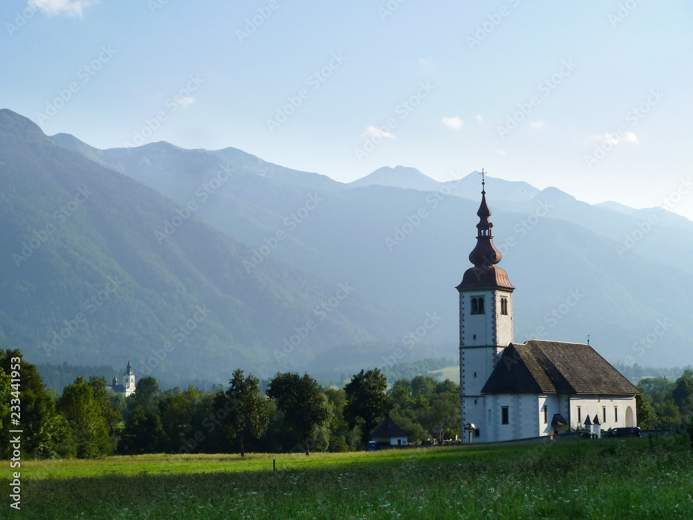 Slovenian meadow with churches