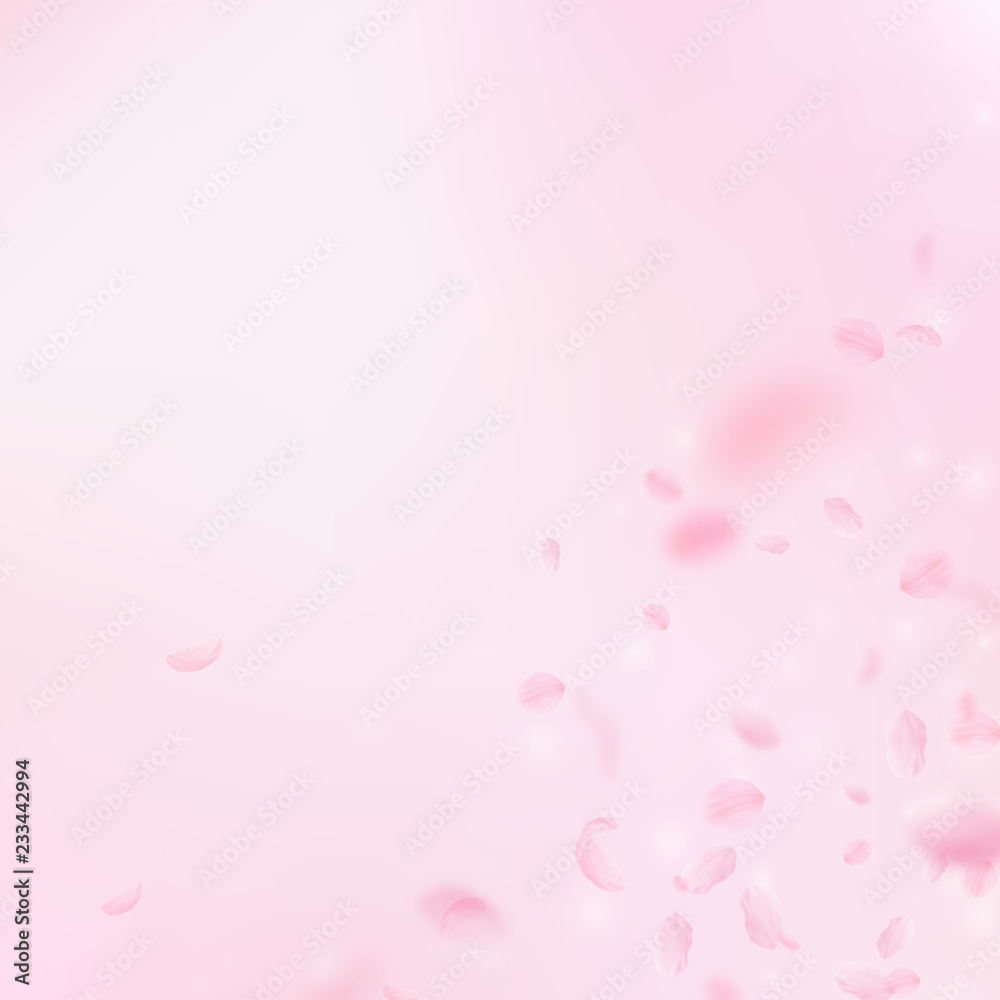 7449446 Sakura petals falling down. Romantic pink flowers