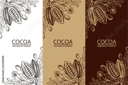 collection of cocoa packages with beans, branch and leaves