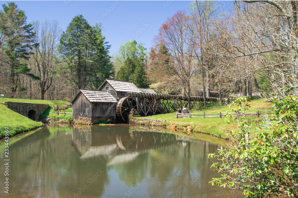 Fototapeta premium Spring blossoming at Mabry Mill in the Blue Ridge Mountains