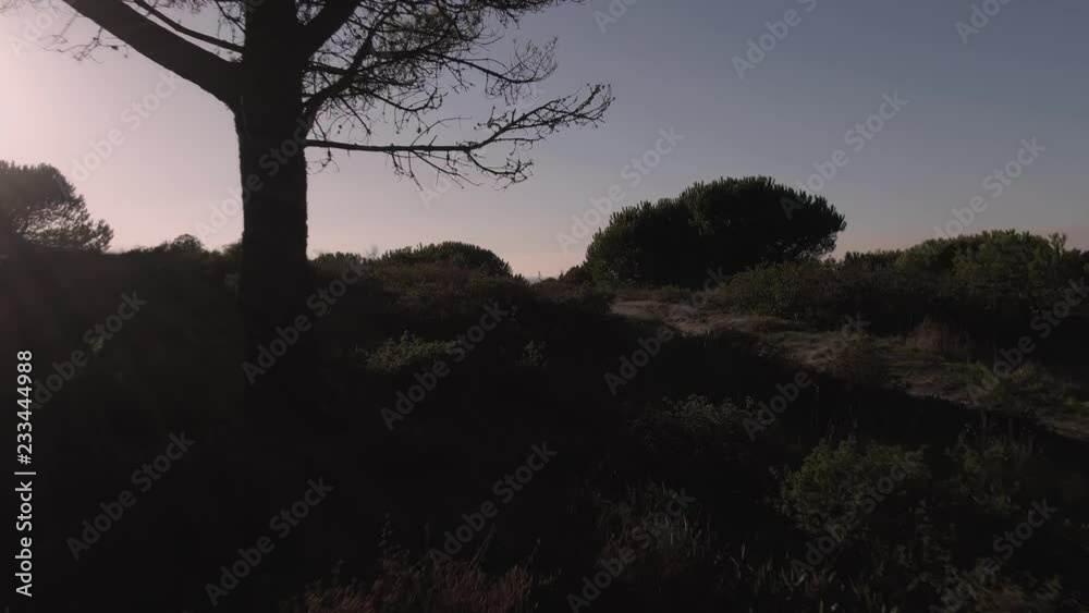 Fonte da Telha Fossil Cliff