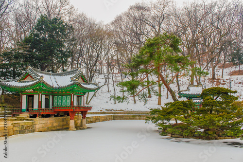 Wallpaper Mural Winter Torontodigital.ca