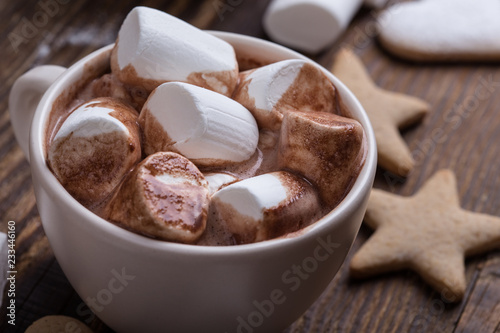 Christmas cookies and  hot chocolate with marshmallows