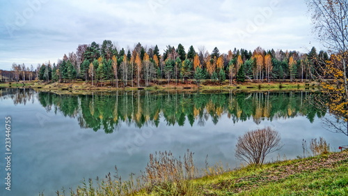 Beautiful autumn forest is reflected in the calm surface of the lake. Yellow green foliage
