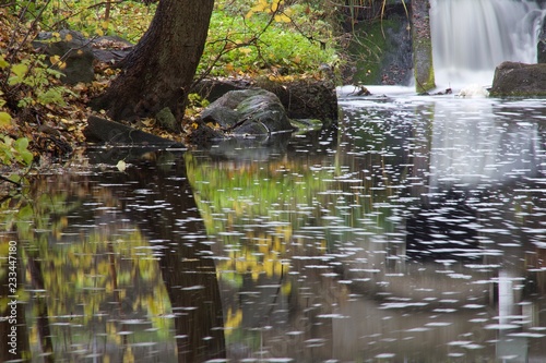 Fototapeta Naklejka Na Ścianę i Meble -  stream in forest