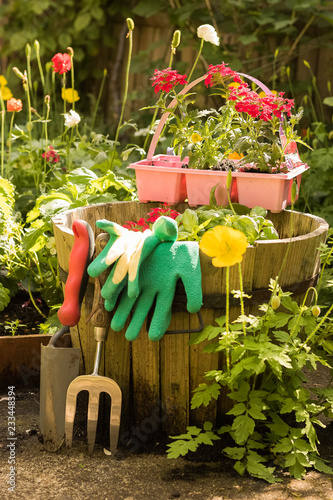 Garden tools, wooden old pot, flowers and plants from a garden center are in a beautiful flowering garden on a sunny day. Concept: gardening. Vertical image. 