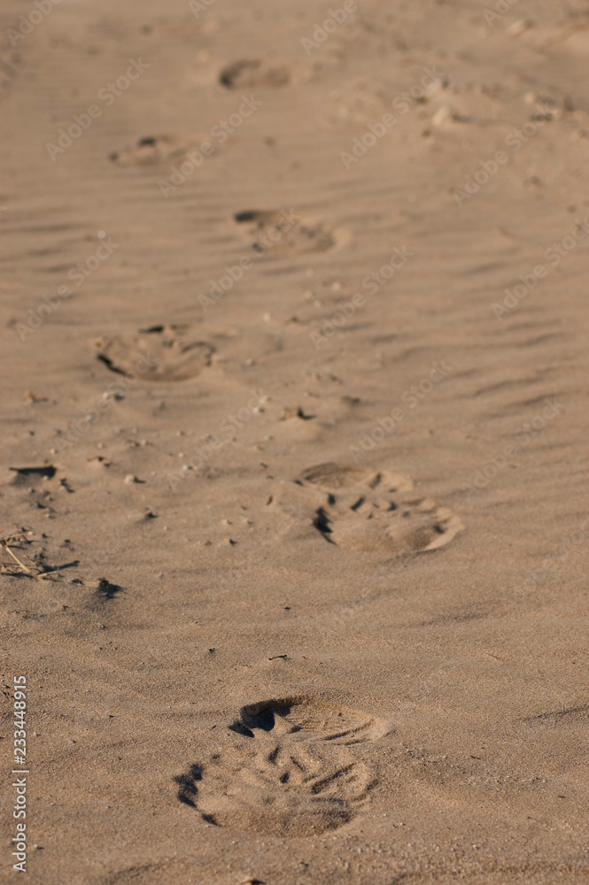 Footprints in the sand Footprints in the sand