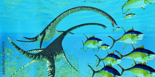 Fotografija Aquatic Reptile Elasmosaurus - Yellowfin tuna try to escape the jaws of two Elasmosaurus marine reptiles during the Cretaceous Period of North America