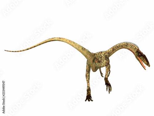 Coelophysis Dinosaur Tail - Coelophysis was a carnivorous theropod dinosaur that lived in the Triassic Period of North America.