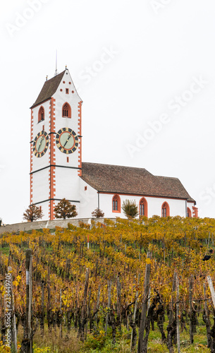 vertical view of a picturesque white country church surrounded by golden vineyard pinot noir grapevine landscape photo