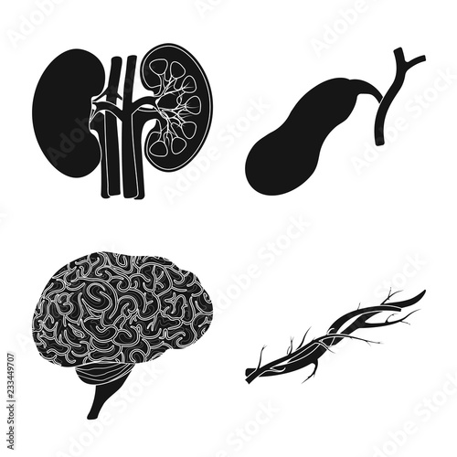 Vector design of body and human logo. Set of body and medical stock symbol for web.