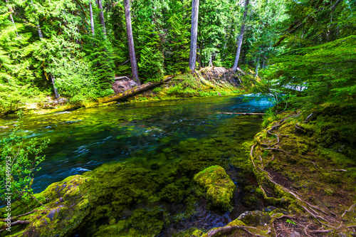 McKenzie River, Oregon