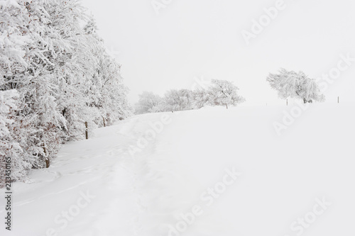 Winterliche Landschaft © heike114