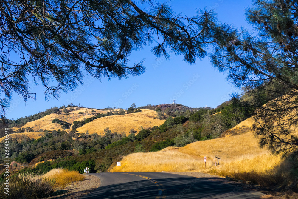 Road through Mt Diablo State Park, the summit and golden hills visible