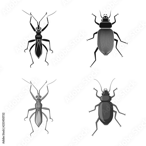 Vector illustration of insect and fly sign. Collection of insect and element stock symbol for web. © Svitlana