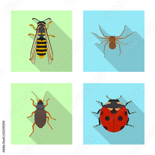 Vector illustration of insect and fly sign. Set of insect and element vector icon for stock. © Svitlana