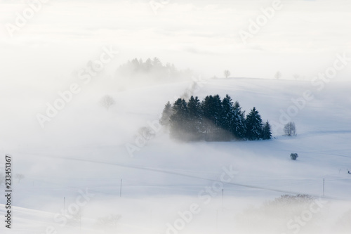 Eine verschneite Landschaft In Nebel getaucht