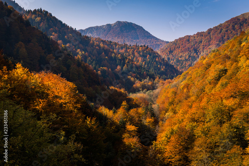 Zelengora mountain in autumn