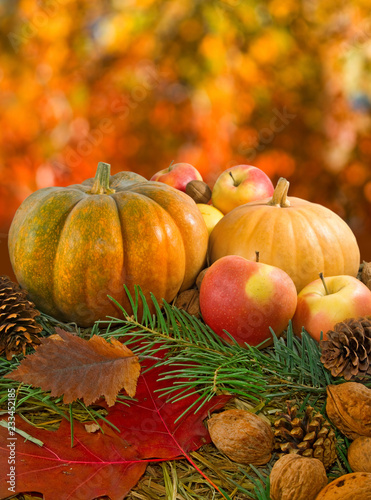 image of pumpkin  nuts  apples and autumn leaves