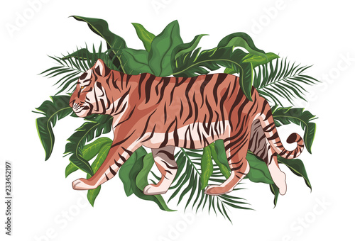 wild tiger body  cartoon