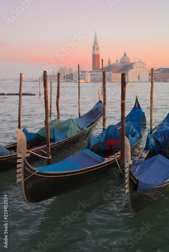 Moored Gondolas in Venice