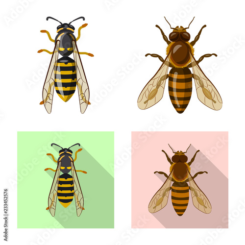 Vector illustration of insect and fly sign. Collection of insect and element vector icon for stock.