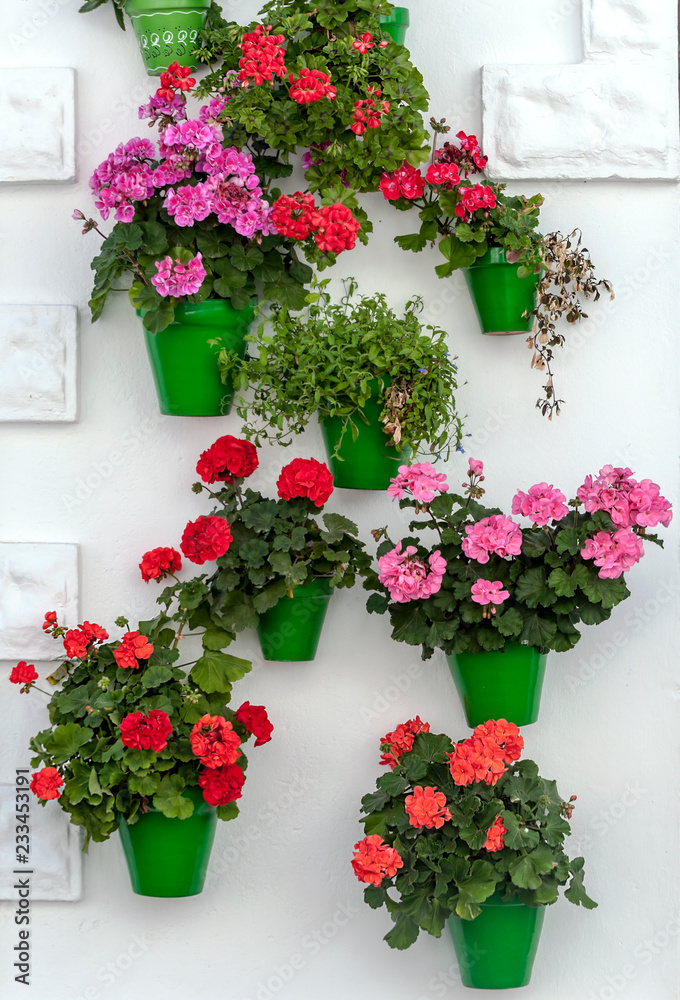 White wall decorated with flower pots