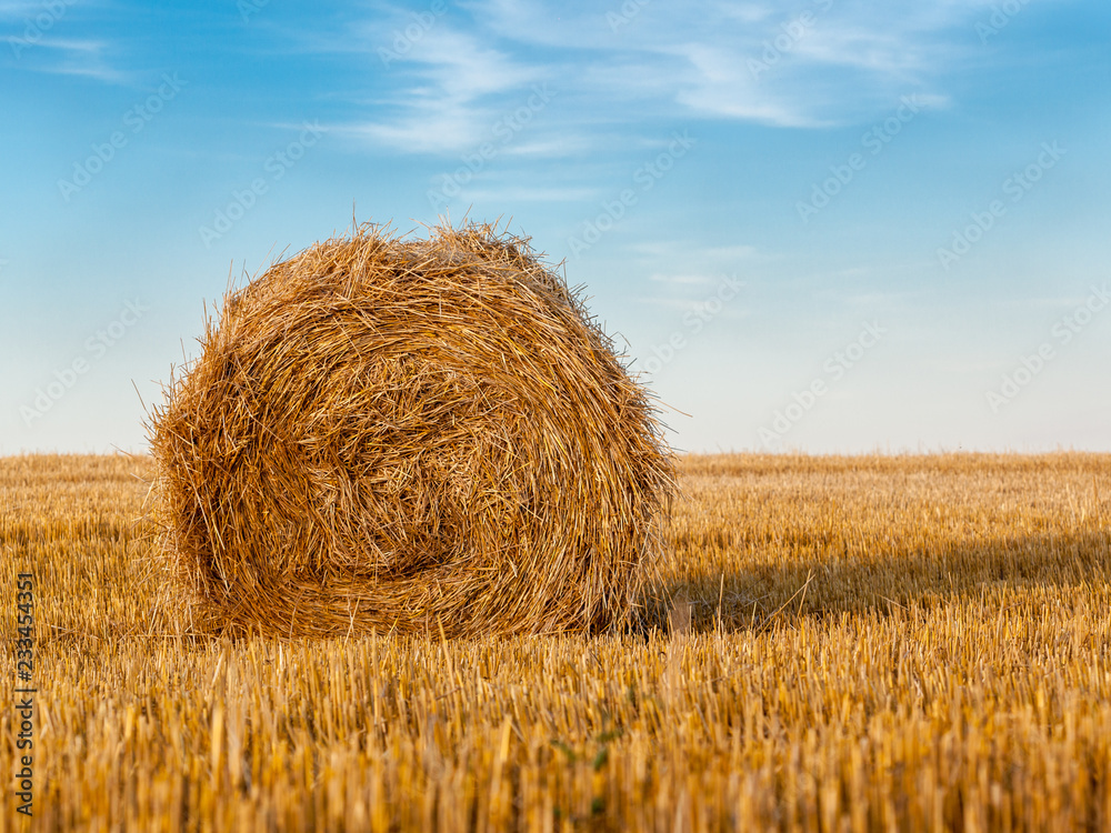 Rural landscape with a bale of golden straw Rural landscape with a bale of golden straw