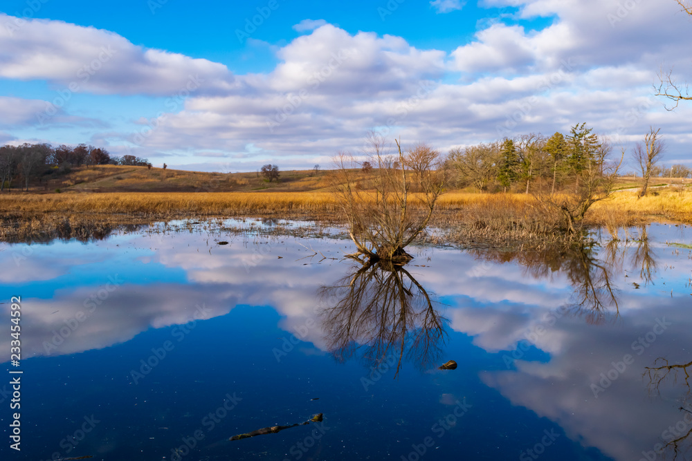 Fotografie Wetland Pond Reflects Sky On Itself