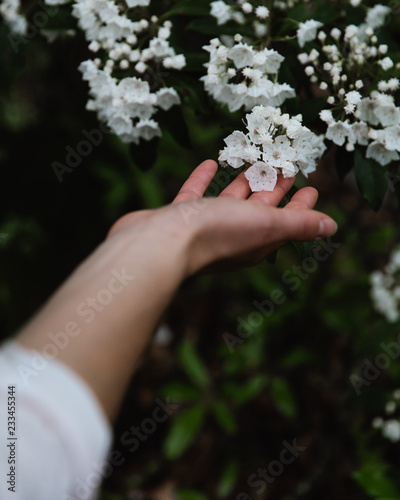 Tapety artystyczne hand touching white flower