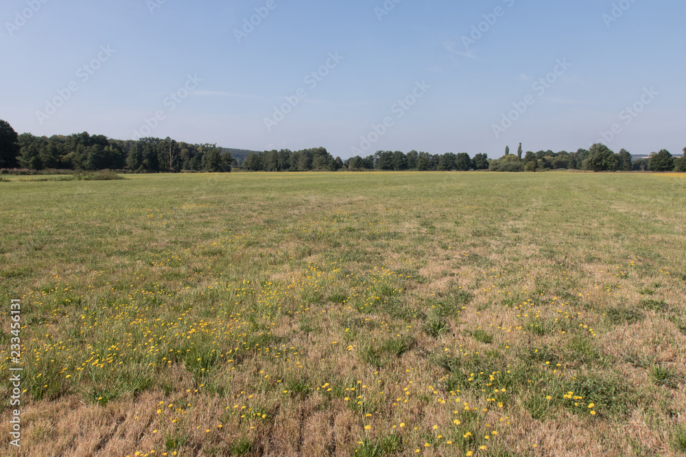 Obraz premium summer landscape