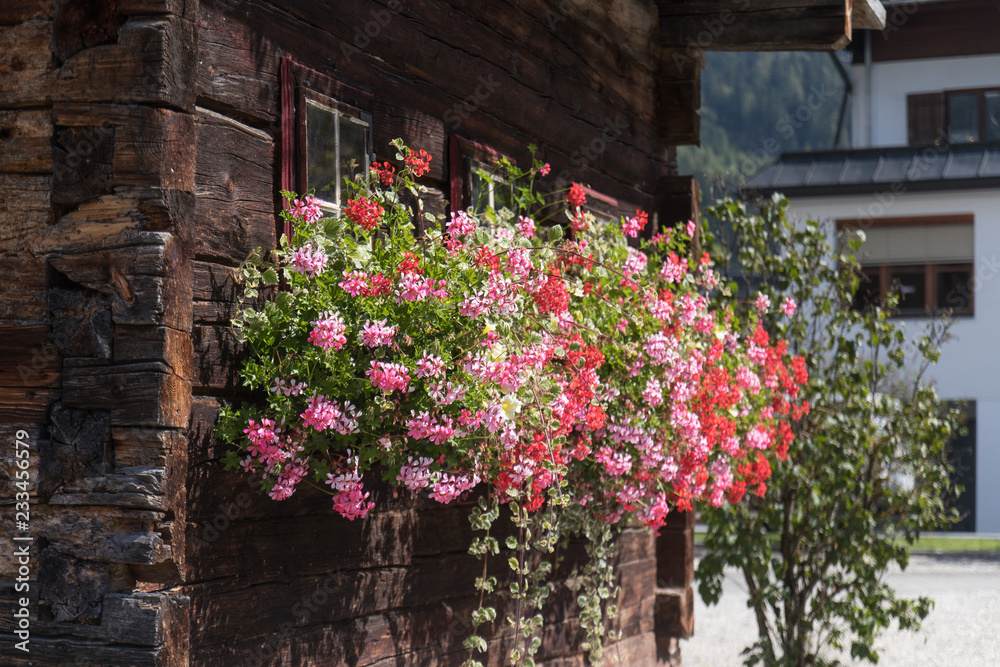 flowers on balcony