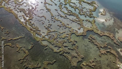 Beautiful lagoon in Butrint, Saranda / Sarande, Albania with seagulls flying (Albanian Riviera)